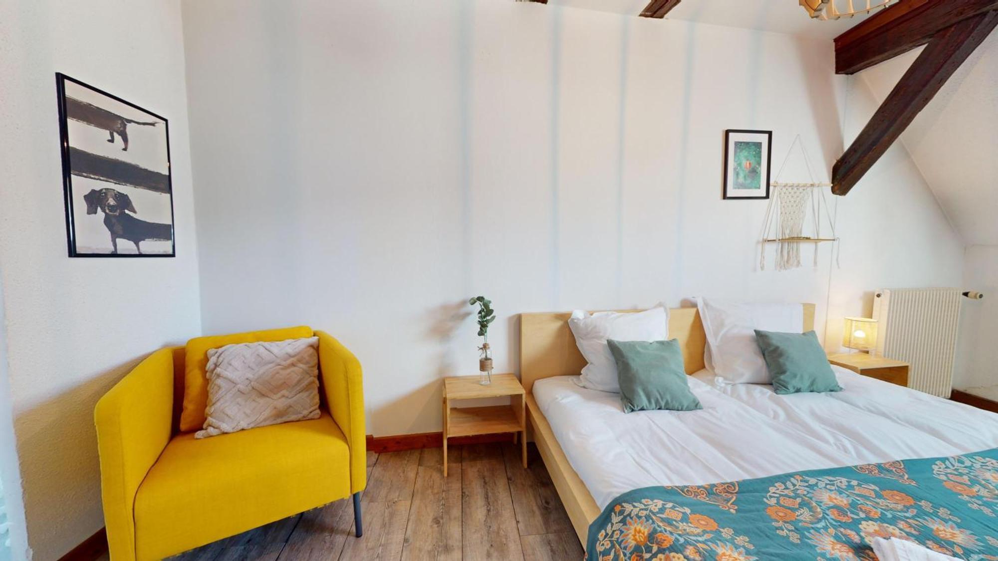 Le Petit Chez Vous Apartment Colmar Ngoại thất bức ảnh