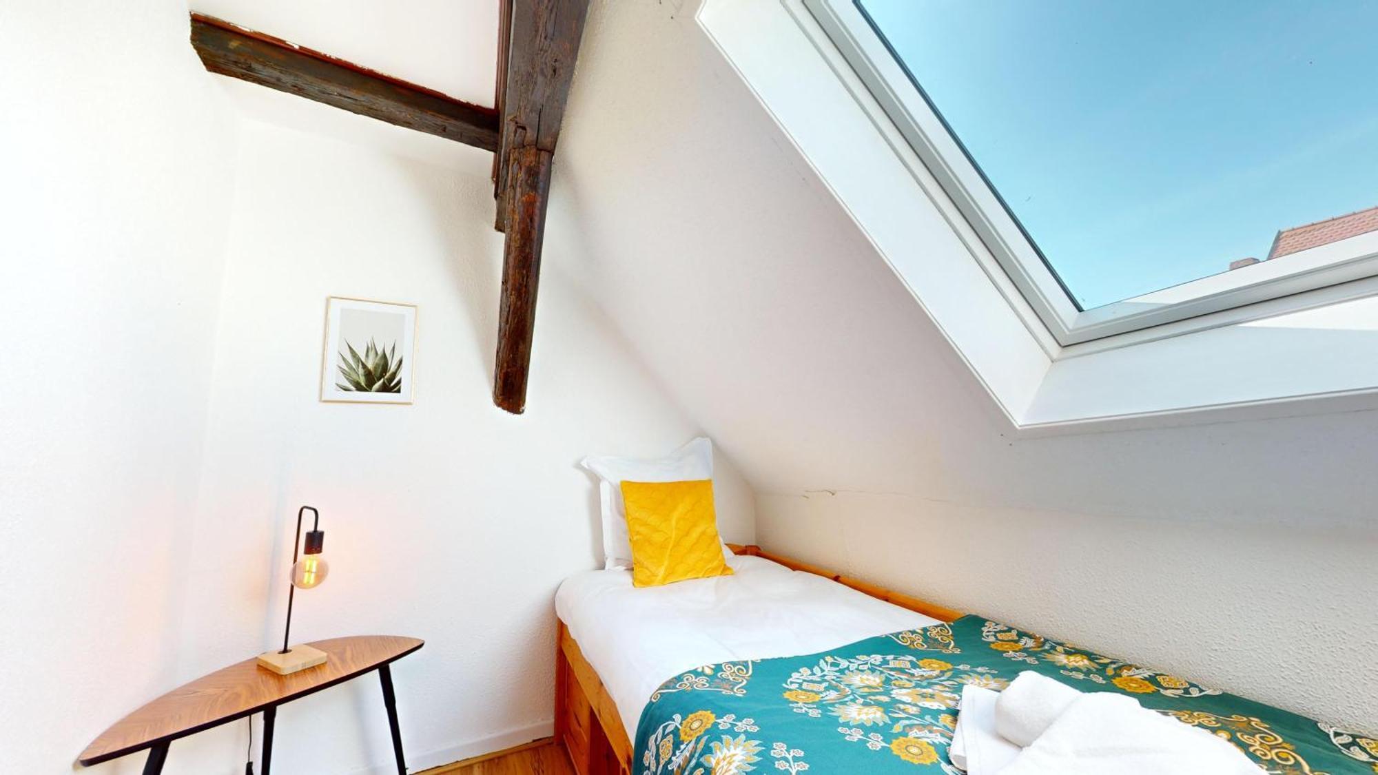 Le Petit Chez Vous Apartment Colmar Ngoại thất bức ảnh