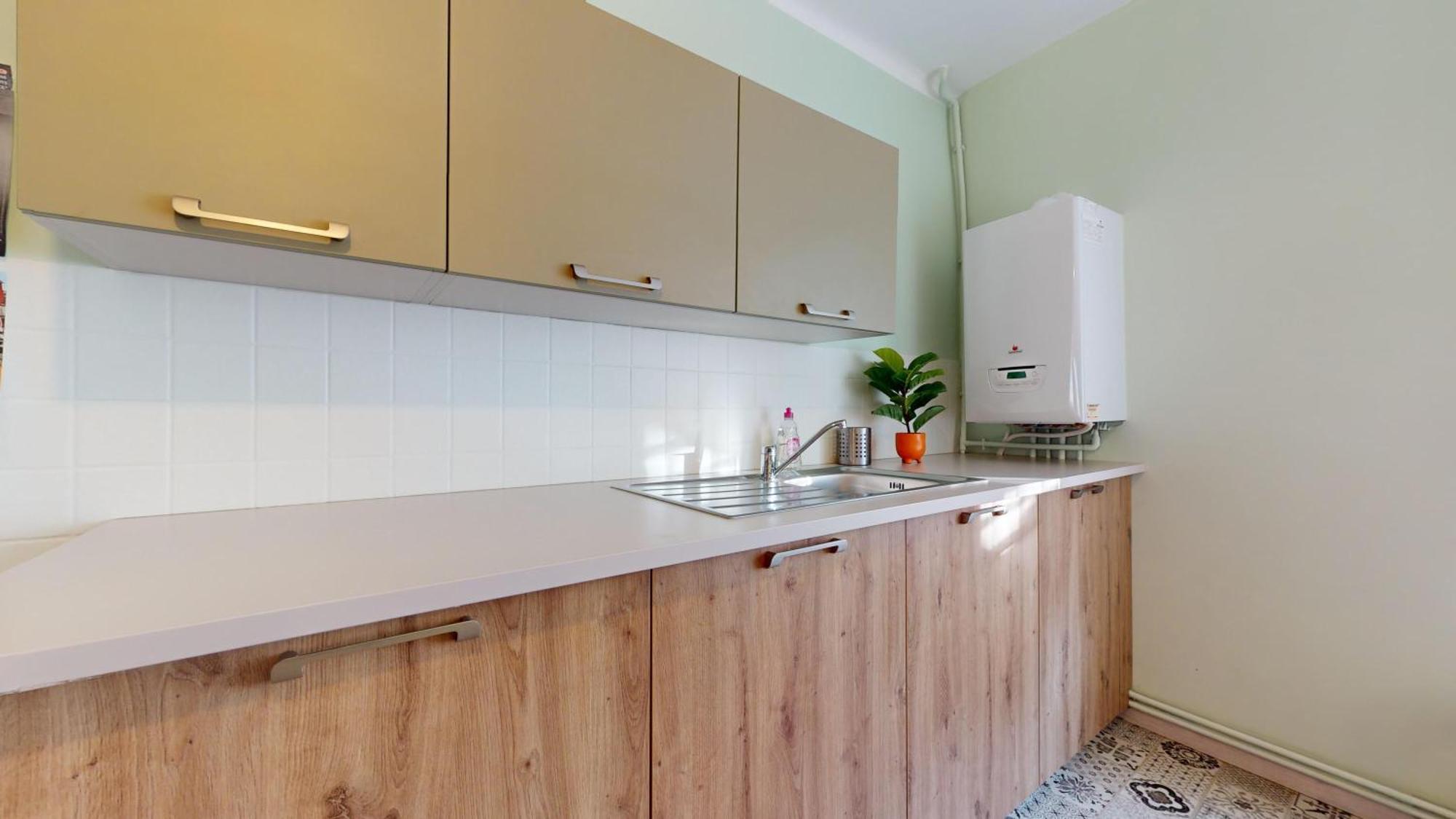 Le Petit Chez Vous Apartment Colmar Ngoại thất bức ảnh
